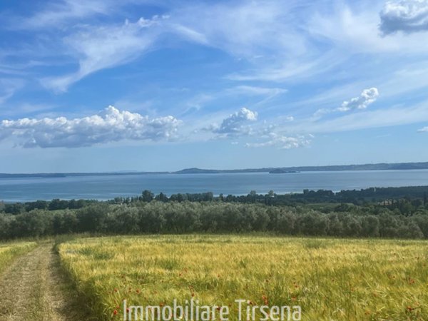 immagine annuncio 0 di 9