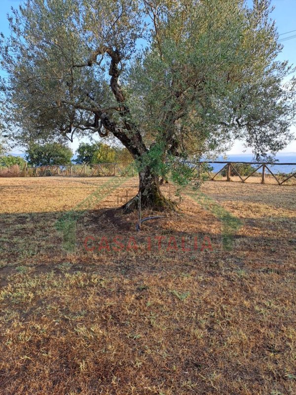 appartamento in vendita a Bolsena