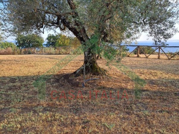 casa indipendente in vendita a Bolsena