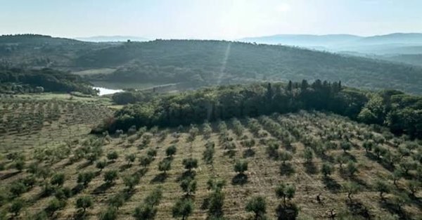 casa indipendente in vendita a Bolsena