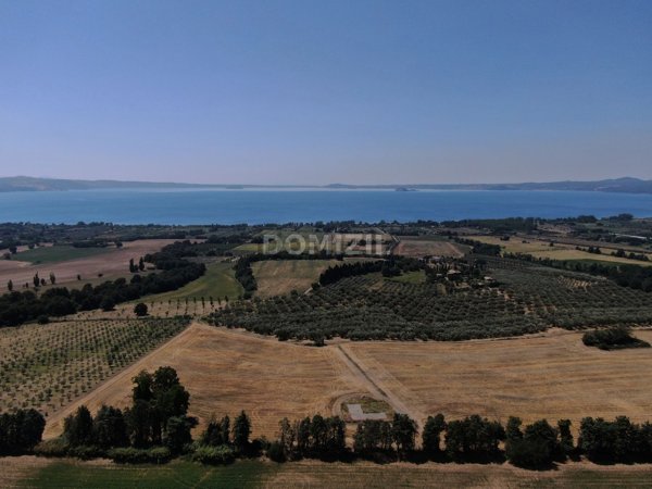 terreno in vendita a Bolsena