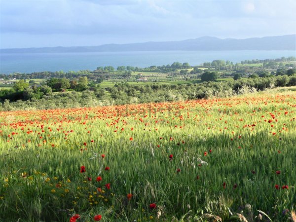 terreno in vendita a Bolsena