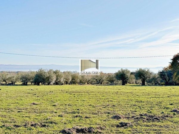 terreno in vendita a Bolsena