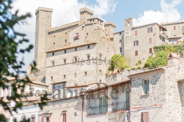 appartamento in vendita a Bolsena