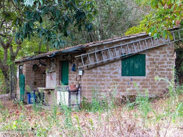 casa indipendente in vendita a Bomarzo
