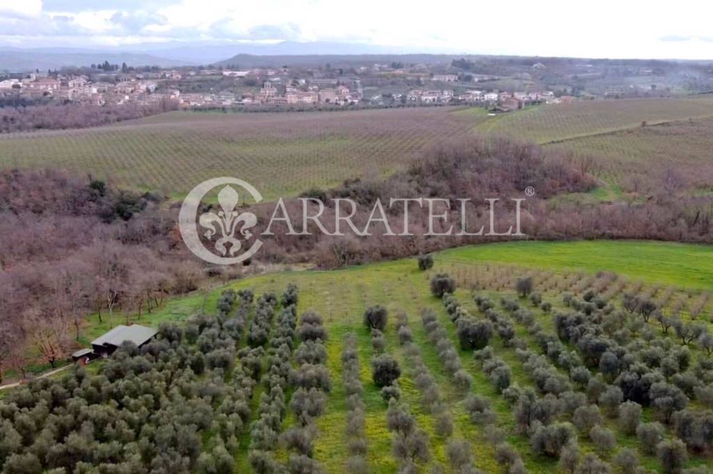 ufficio in vendita a Bomarzo