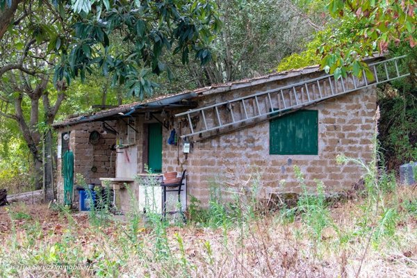 appartamento in vendita a Bomarzo