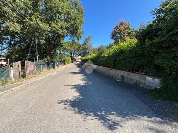 terreno agricolo in vendita a Bomarzo