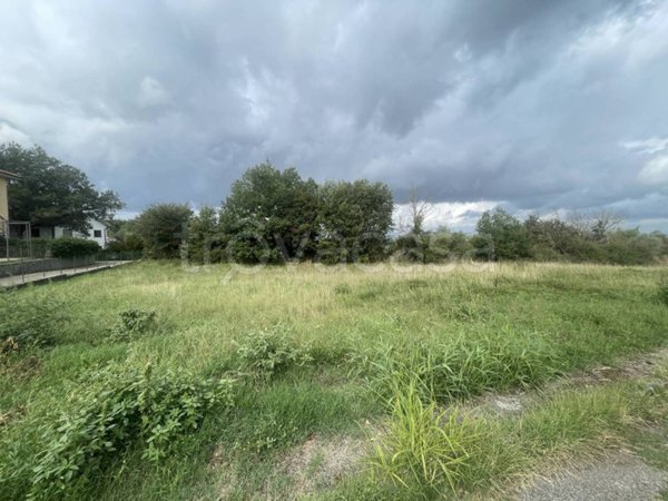 terreno agricolo in vendita a Bomarzo