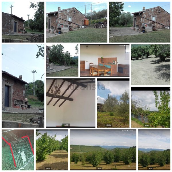 terreno agricolo in vendita a Bomarzo