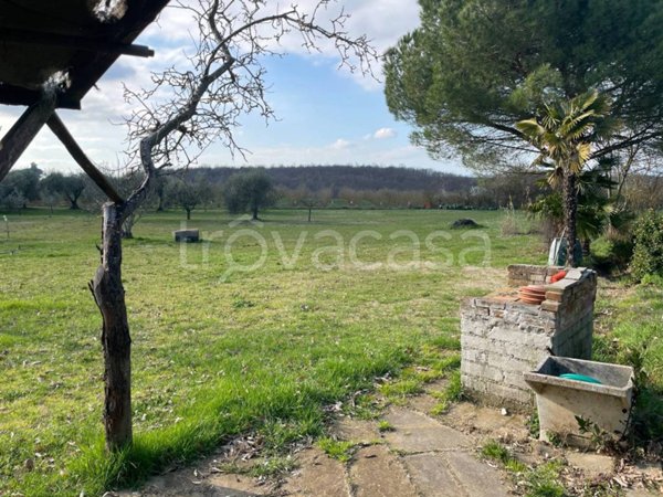 terreno agricolo in vendita a Bomarzo