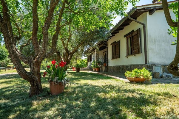 casa indipendente in vendita a Bomarzo