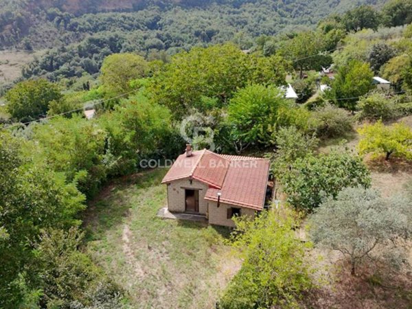 terreno agricolo in vendita a Bomarzo