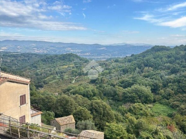 intera palazzina in vendita a Bomarzo