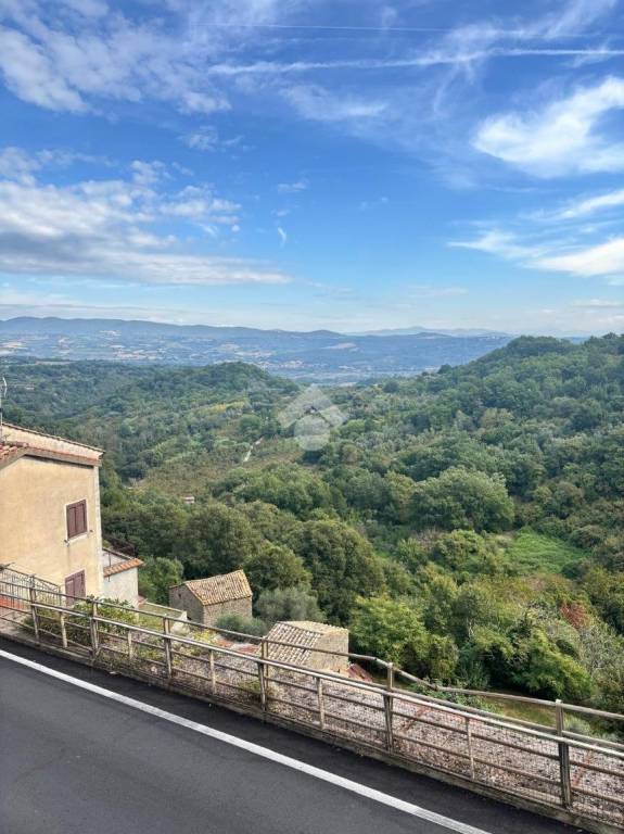 appartamento in vendita a Bomarzo