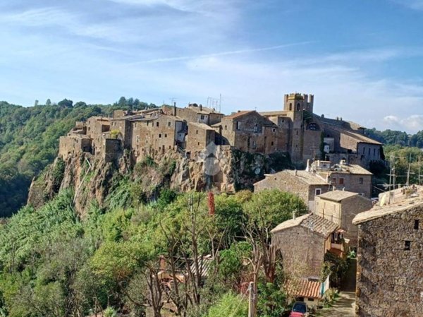 appartamento in vendita a Calcata