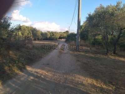 appartamento in vendita a Calcata