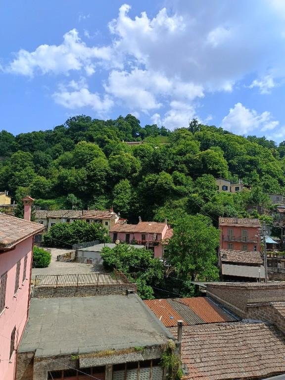 appartamento in vendita a Canepina