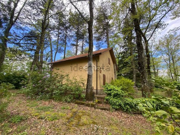 casa indipendente in vendita a Canepina
