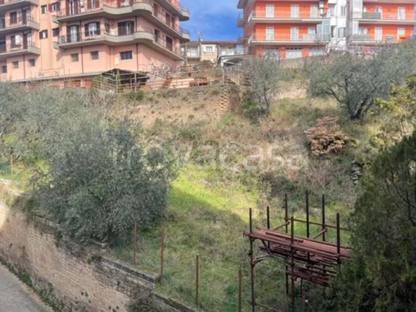 terreno agricolo in vendita a Canepina
