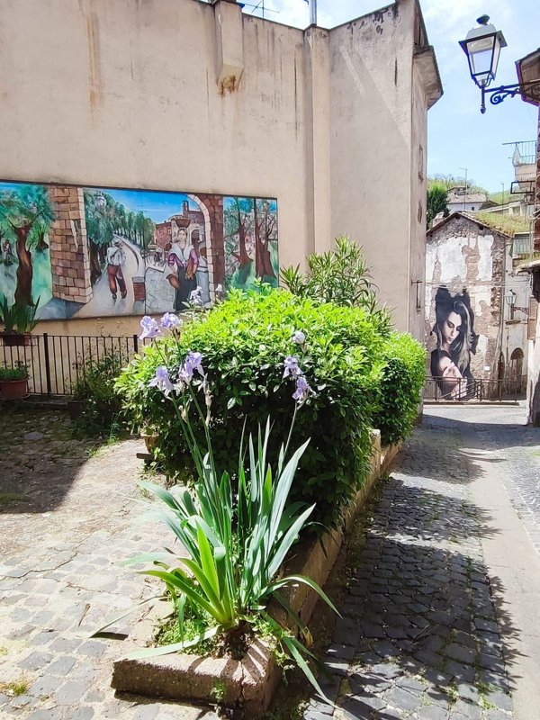 appartamento in vendita a Canepina