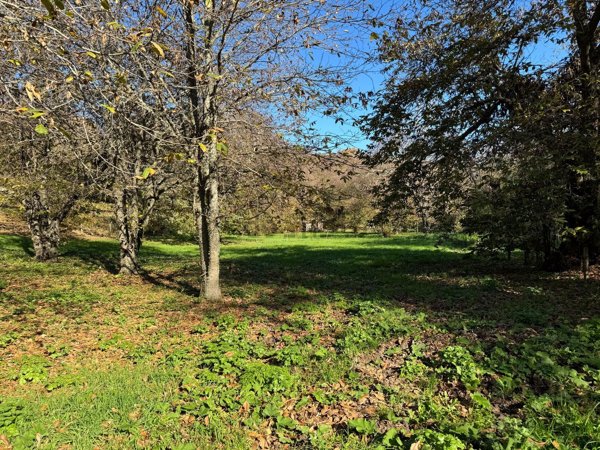 terreno agricolo in vendita a Canepina