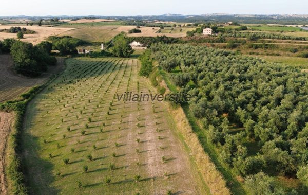 terreno agricolo in vendita a Canino