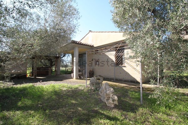 appartamento in vendita a Canino