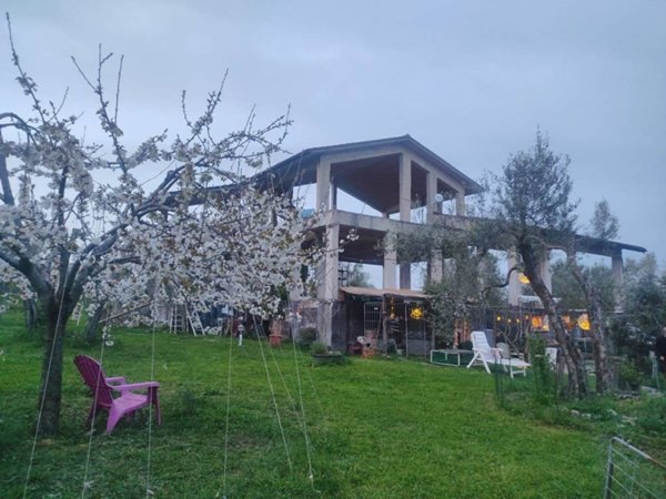 terreno agricolo in vendita a Canino