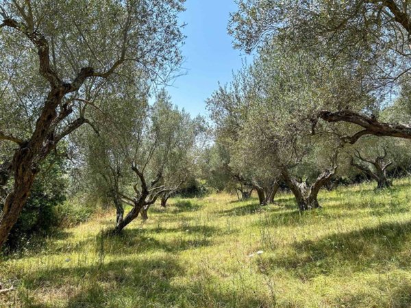 casa indipendente in vendita a Canino