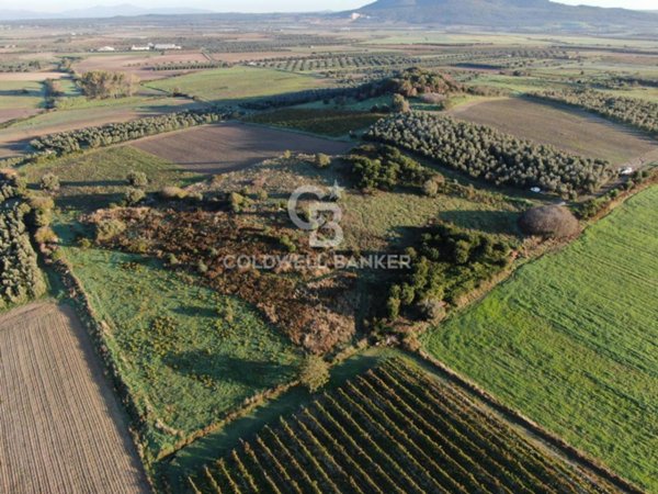 terreno agricolo in vendita a Canino