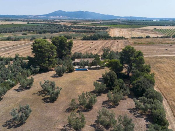 casa indipendente in vendita a Canino