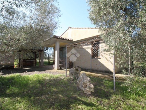 appartamento in vendita a Canino