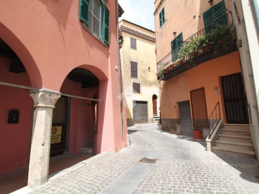 appartamento in vendita a Canino