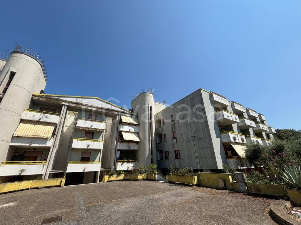 negozio in vendita a Canino