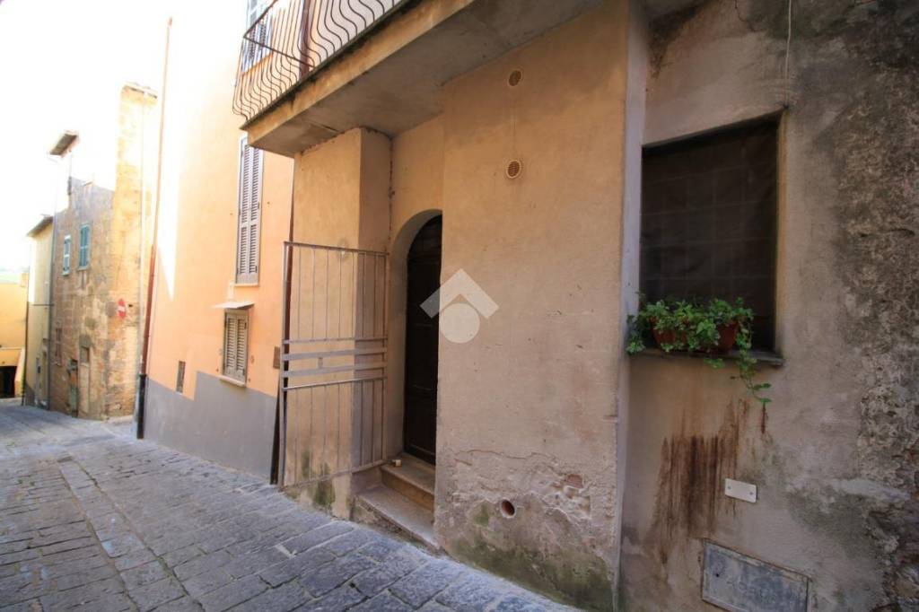 appartamento in vendita a Canino