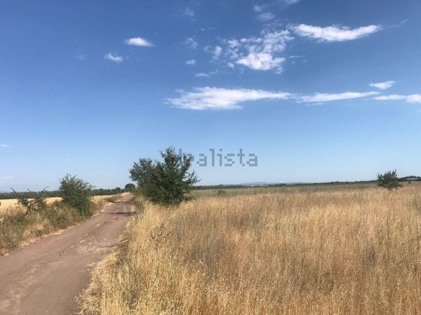 villa in vendita a Canino