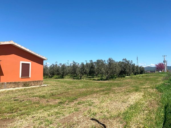 capannone in vendita a Canino