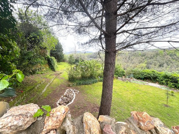 appartamento in vendita a Canino