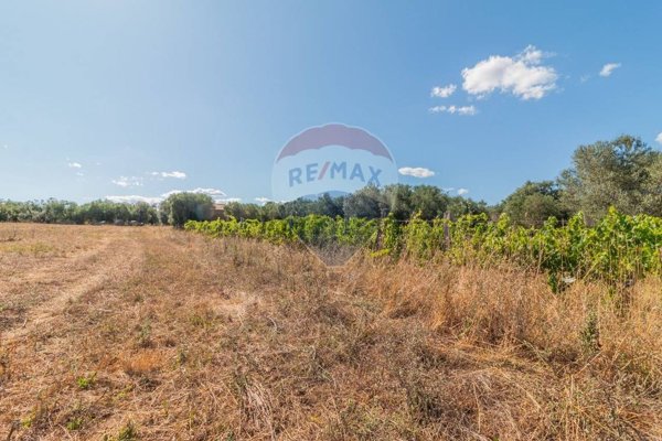 locale di sgombero in vendita a Canino