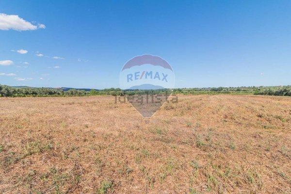 locale di sgombero in vendita a Canino