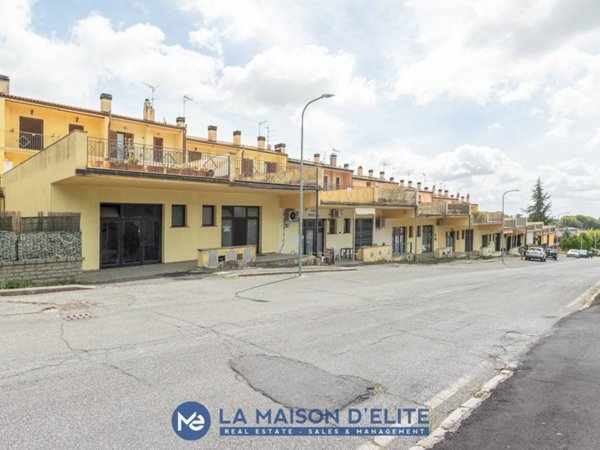 negozio in vendita a Canino