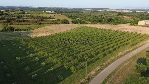 casale in vendita a Canino