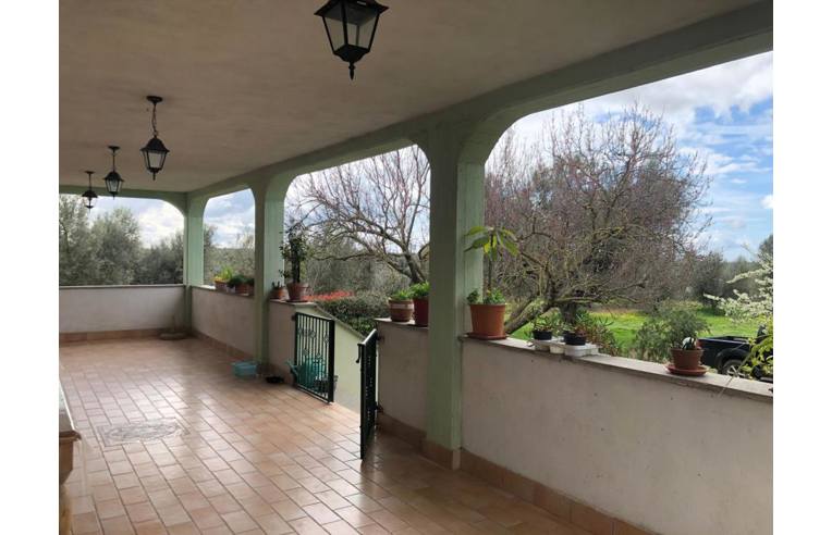 casa indipendente in vendita a Canino