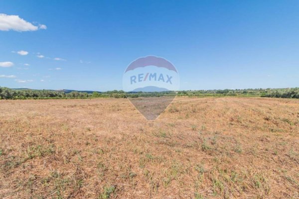 terreno agricolo in vendita a Canino