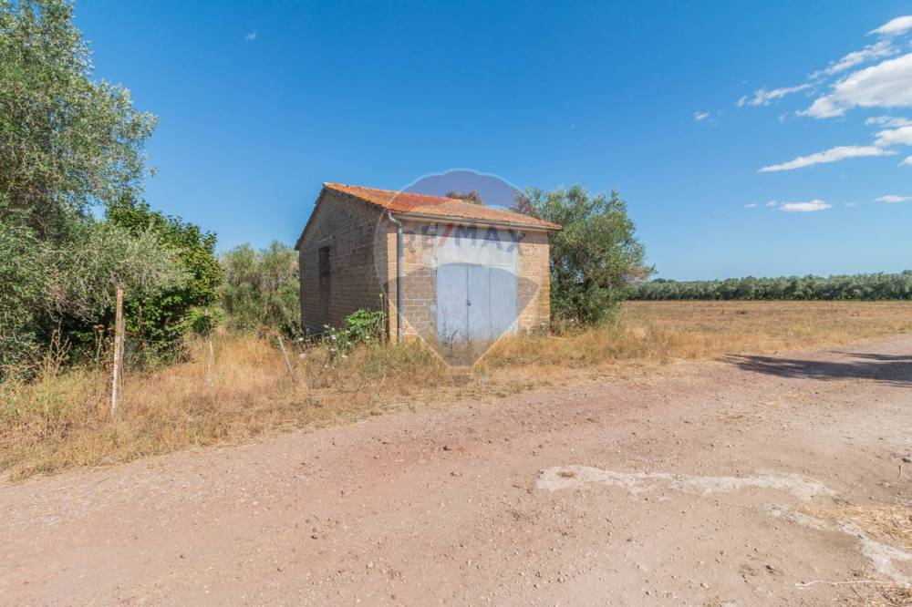 locale di sgombero in vendita a Canino