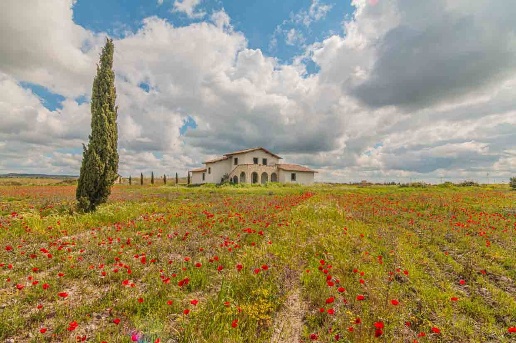 casa indipendente in vendita a Canino