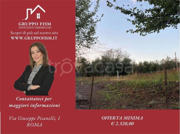 terreno agricolo in vendita a Canino