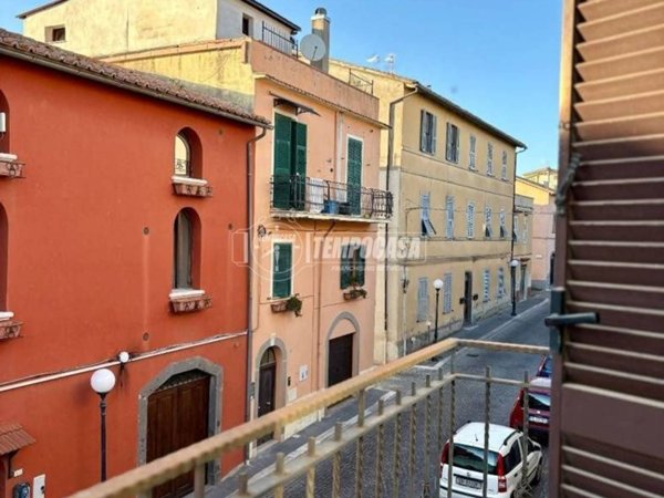 appartamento in vendita a Canino