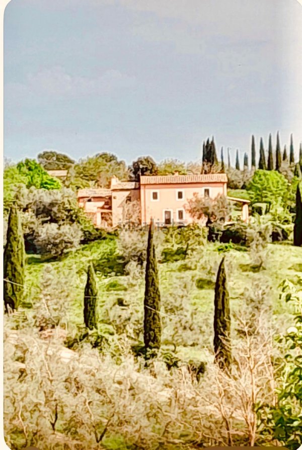 casa indipendente in vendita a Canino